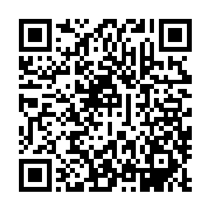 甚至就算是之前的时候龙傲天服用过的菩提金莲也远远不如二维码生成