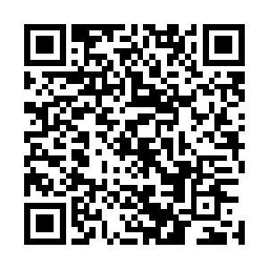 甚至就算是如今愤怒用了那么多强者的鲜血给它们进行血祭二维码生成