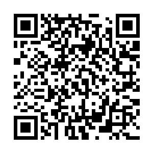 甚至就连他们的手臂也在一阵清脆的骨骼碎裂声中轰然爆开二维码生成