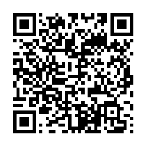 甚至就连他身上的杀戮天使武装上都浮现出道道裂纹二维码生成