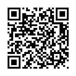 甚至就连在特级贵宾室内的马龙大人二维码生成