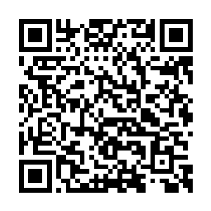 甚至就连她们这些灵体诞生而来的生命也能食用二维码生成