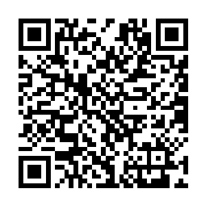 甚至就连孙子轩身上那样式怪异的衣服边都没有碰到过二维码生成