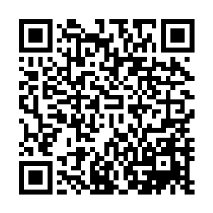 甚至就连它那相对脆弱的颈部和脑袋都被巨大的头冠保护住二维码生成