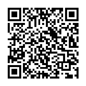 甚至就连对方的那头巨型海怪古多利克都受到了围攻二维码生成