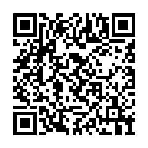 甚至就连旁边为帝佛老祖护法的十八名罗汉力士二维码生成