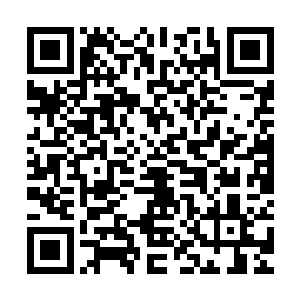 甚至就连易欣身上安装的那种奇怪诡异的追踪系统都失去了作用二维码生成