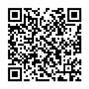 甚至就连杨凌当初在蜀山得到的那个超级机械战舰二维码生成