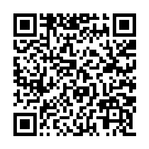 甚至就连某支由天位强者带领的队伍也陨落其中二维码生成