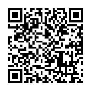 甚至就连楚旬的身上都开始散发出一种烤肉被烤焦的气味二维码生成