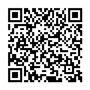 甚至就连谢树元在无意间都对萧氏说了这么一句二维码生成