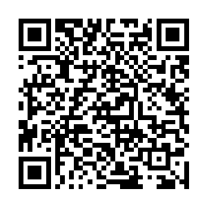 甚至就连身上的外骨骼装甲也因为承受不住这恐怖力量二维码生成