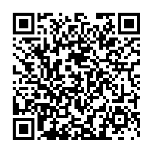甚至就连那血色火焰都被冰封在了这地核能量所化的蓝色冰层之中二维码生成