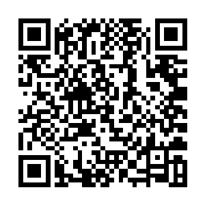 甚至就连雷鸣山上面修建的盘山公路也已经消失无踪二维码生成