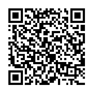 甚至应该出手将他一路上可能遇到的问题全部清理掉二维码生成