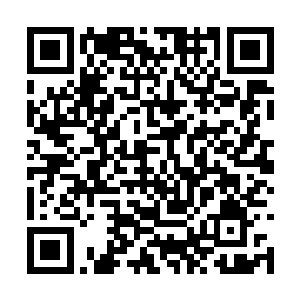 甚至引起了正在跟前任昊天交手的离天界主的注意二维码生成