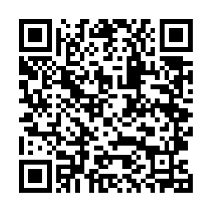 甚至当他们忽然在下一个路口撞上了另一位机器人的时候二维码生成