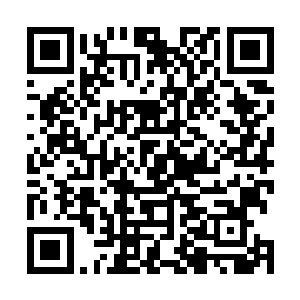 甚至很多伤口连血迹都没有……就算是个别有血迹的伤口二维码生成