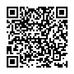 甚至很大程度上还是那位顶峰强者主动誓言投效的二维码生成