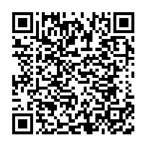 甚至得从珊瑚礁之类的海底吹沙累积起一座人工岛建立青年城不同二维码生成