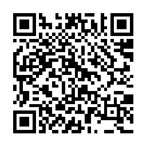 甚至怀疑这个脸色苍白的家伙是被一个老怪物夺舍了二维码生成