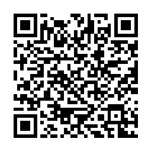 甚至想要不惜一切代价将这个ss级通缉犯直接拿下二维码生成