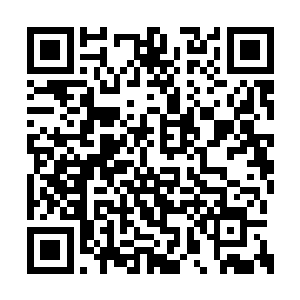 甚至擅作主张地撤销了灵能护盾和力场干扰系统二维码生成