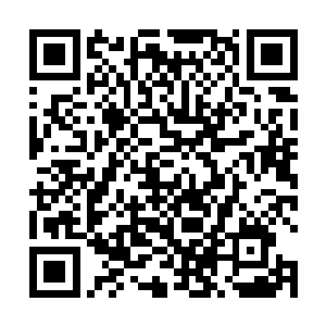 甚至是你的整个文明为之奋斗了十万年的事业轰然倒塌二维码生成