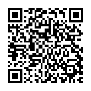 甚至是十几亿结果也就是买来了一堆根本就没有名气的古董字画二维码生成
