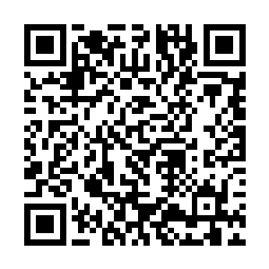 甚至是原本宫中属于皇后娘娘的势力也可以交给太后二维码生成