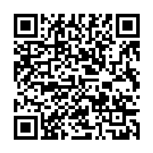 甚至是太夏皇室收藏的各种高级的修炼秘籍和功法二维码生成