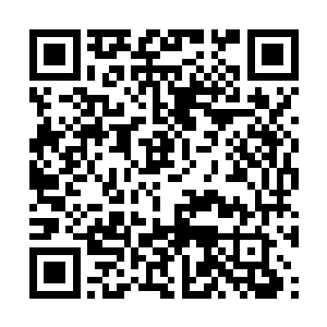 甚至是威力比愤怒刚刚那一击还要更加强大的底牌二维码生成