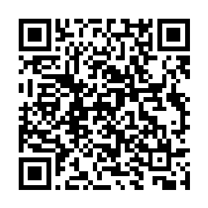 甚至是将红雪或者飘零的地位和身份立刻确定下来二维码生成