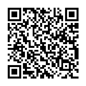 甚至是展现出归源境的实力毫不留情的对水侍卫发动了攻击二维码生成