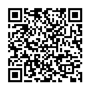 甚至是斩断那生物兵器右臂的时候就像是利刃切肉一样二维码生成