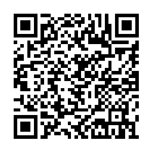 甚至是有些不明白她此时的得意到底是因为什么二维码生成