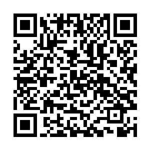 甚至是未来发展都无比契合香奈儿可可小姐的称号的二维码生成