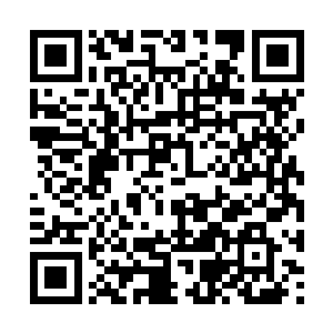 甚至是火焰王座的都泽王城所贡献出来的大量资源二维码生成