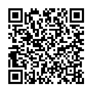 甚至是用那以伤换伤的打法跟彼此之间拼起命来二维码生成