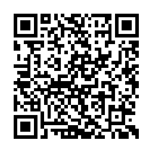 甚至是盘古文明研发的拥有一定智慧的人造凶兽二维码生成
