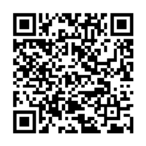 甚至是还给她服用过专门治愈元神创伤的天材地宝二维码生成