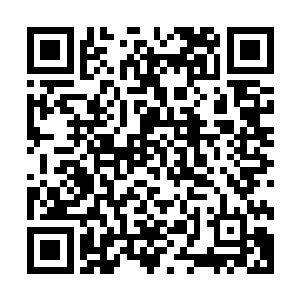 甚至是还能看见一辆辆豪华的撵车由价值连城的珍贵异兽为力二维码生成