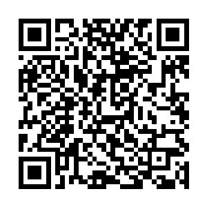 甚至是这房间里每一件衣服上的钮扣都给扫描了一番二维码生成