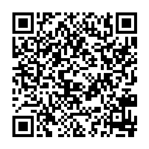 甚至有一大批星海帝国时代遗留下来的星舰而制造这些星舰的技术二维码生成