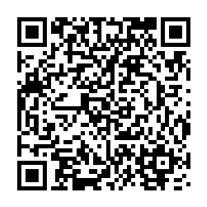 甚至有一种特殊的掌心雷能瞬间吞噬方圆数公里之内所有的灵能反应二维码生成