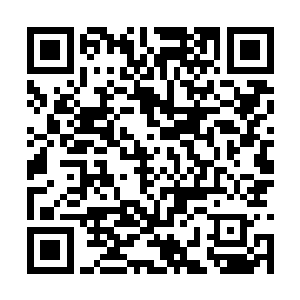 甚至有些净化者和清扫者的大脑防线被傀儡王攻破二维码生成