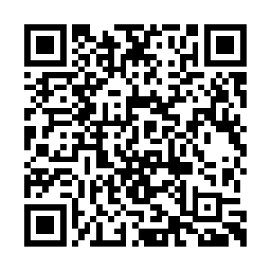 甚至有些怀疑林若烟故意把自己拍得这么难看的二维码生成