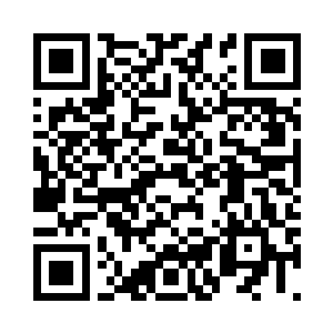 甚至有可能是他在踏入神圣领域之前二维码生成