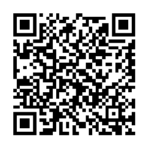 甚至有可能苟治良推荐的县委书记入选也不是曹刚二维码生成