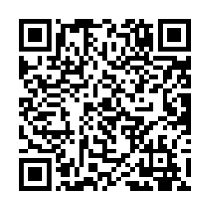 甚至有可能让一些停留在法则境界的修行者借此突破二维码生成